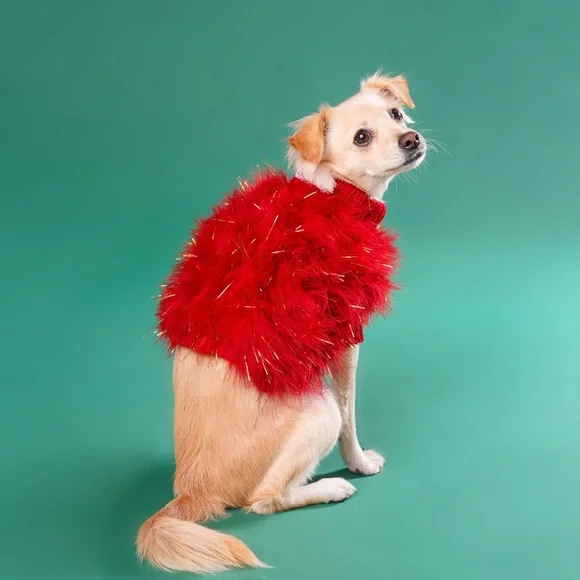 犬服・アクセサリー maxbone Christian Holiday Glitz Jumper Christian Cowan Holiday Glitz Jumper – maxbone